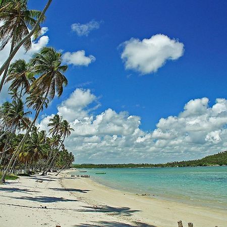 Eco Resort Praia Dos Carneiros By Canto Da Praia Экстерьер фото