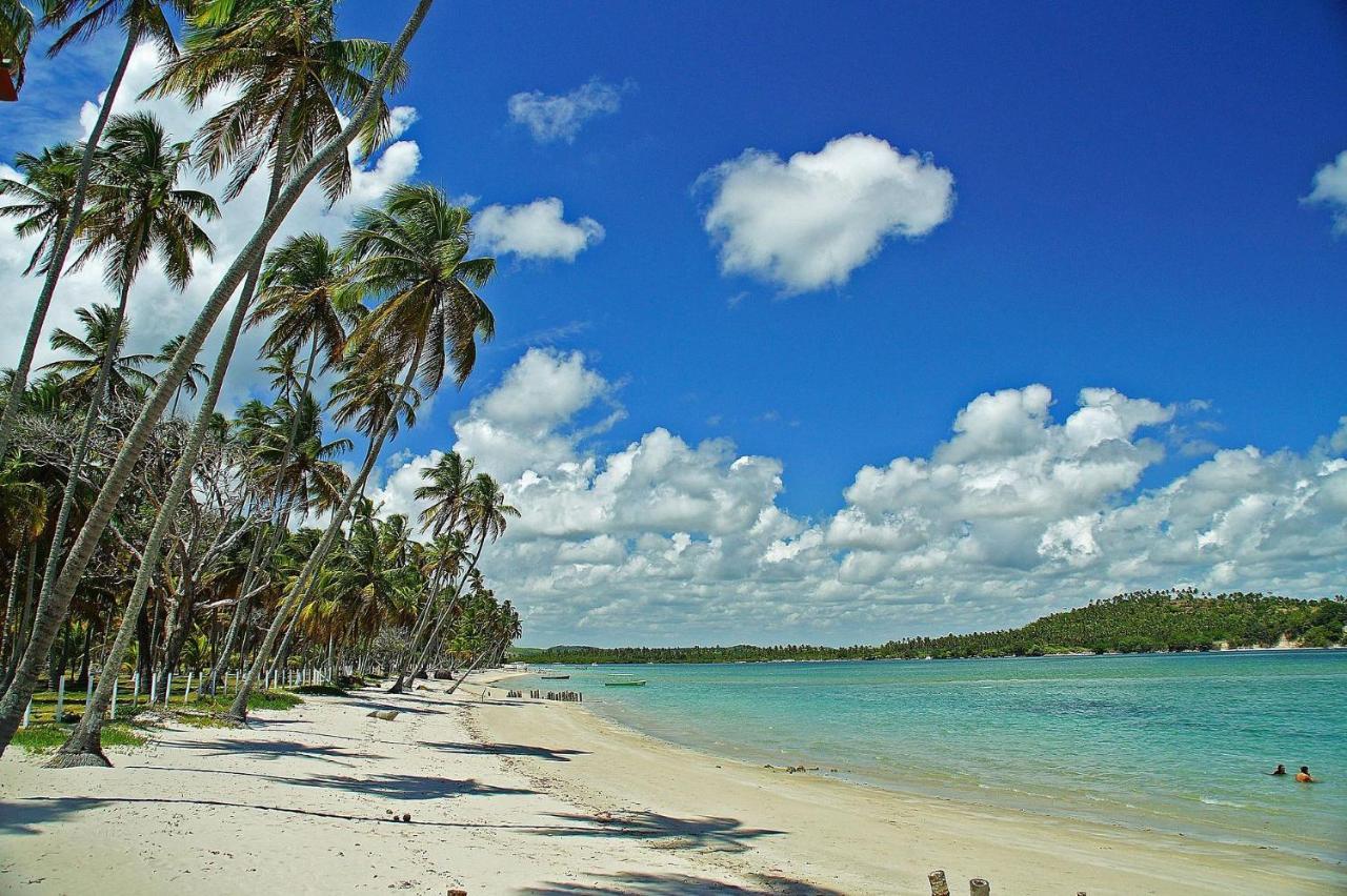 Eco Resort Praia Dos Carneiros By Canto Da Praia Экстерьер фото
